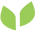 ECDI-Graphic-elements_leaf_green.png