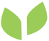 ECDI-Graphic-elements_leaf_green.png