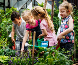 90181214-group-of-kindergarten-kids-lear