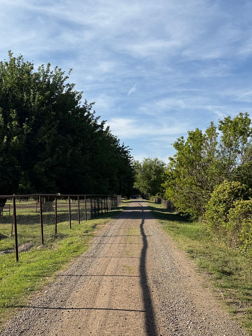 path.jpg