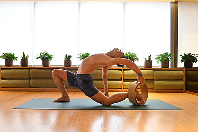 Yoga Wheel Workshop.jpeg