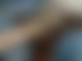 新たな相棒F.C.G.R.EZa Wew（金狼）誕生！