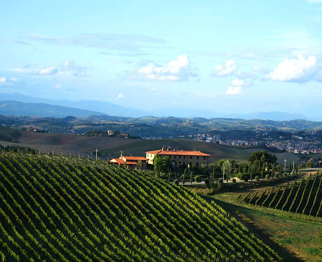 Wine Country