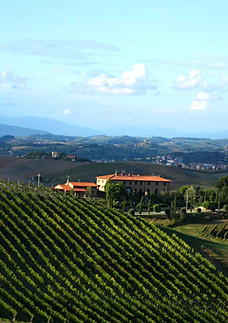 Vue panoramique sur le vignoble
