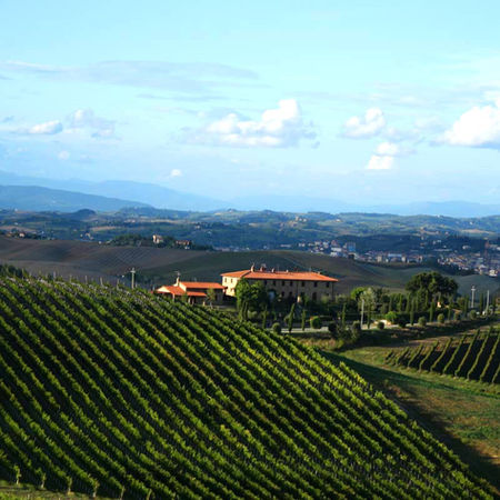 Paso Robles luxury travel, California wine tours, farm-to-table dining Paso Robles, Paso Robles wine tasting, artisan spirits Paso Robles