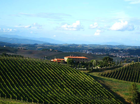 Wine Country