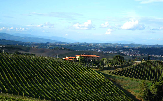 Wine Country
