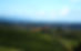 Wine Country