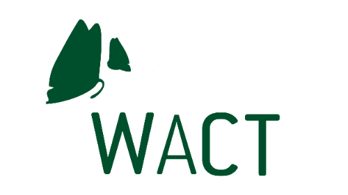 ONG WACT junta-se à conservação das tartarugas | WACT NGO joins the sea turtle conservation