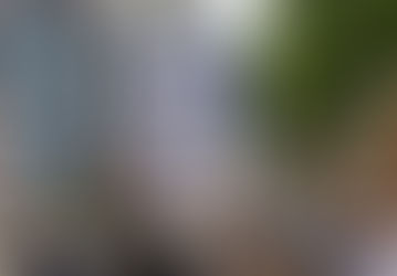 Snyder, Vance, and McBrien: notes on the state of America