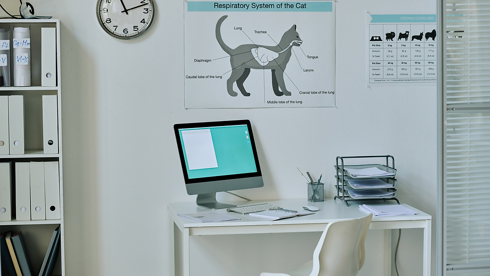 How to Compare Vet Prices Before Booking an Appointment