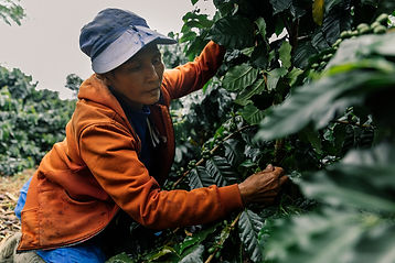 coffee-1-104.jpg