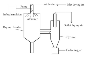 The Science of Stability: How Spray-Dried Vitamin Powders Power Modern Nutraceuticals 