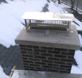 chimney cap.png