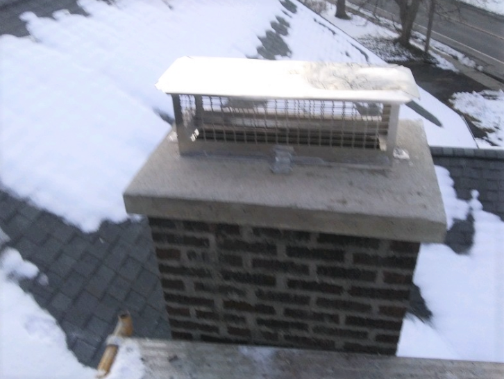 Buffalo Chimney Rain/Animal Guard