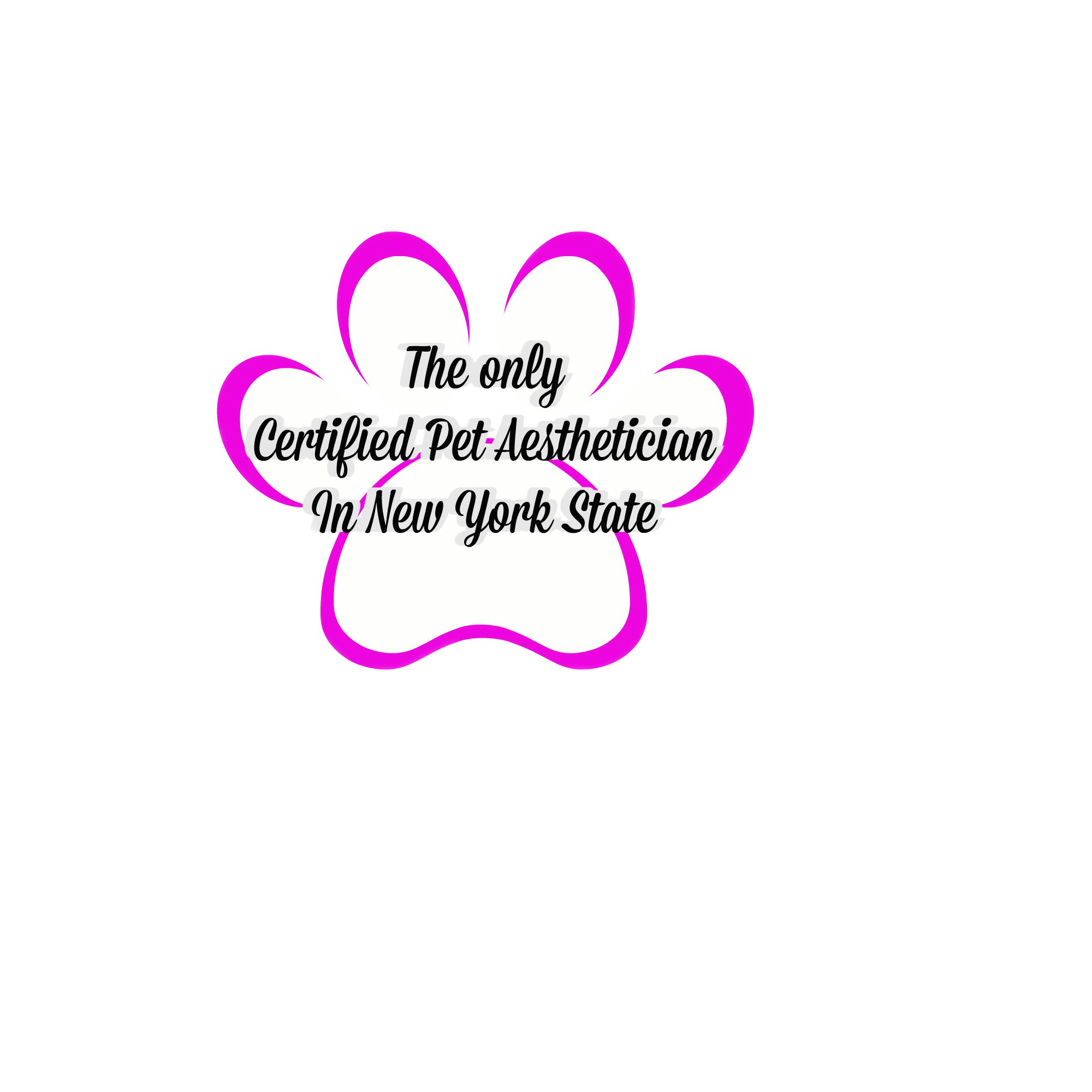 Dressed To Impress Doggie Spa