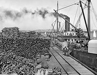 loading-sandalwood-at-north-mole-jetty-1