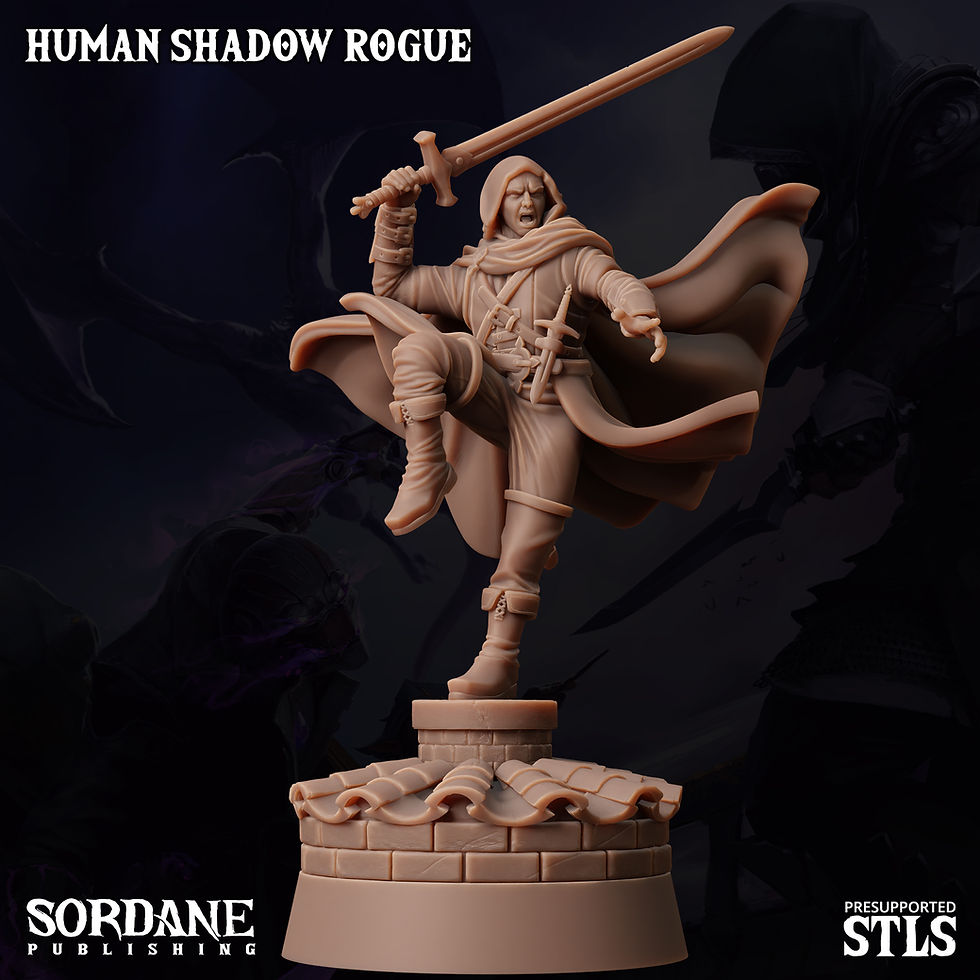 Thumbnail: HUMAN SHADOW ROGUE 25MM