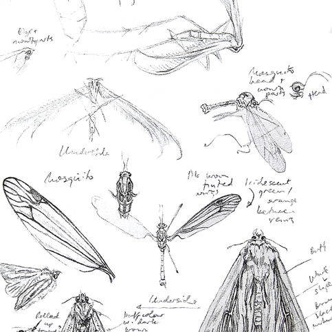 #2. Pencil 2