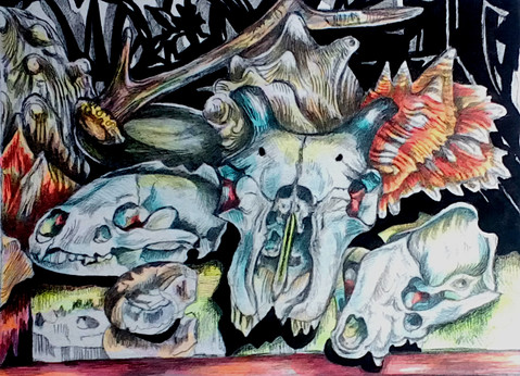Skulls