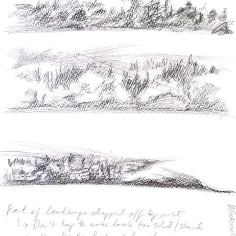 disappearing landscape