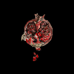 Palindrome Skateboards