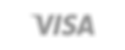 Visa (1).png