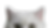 Untitled design-92_UP.png