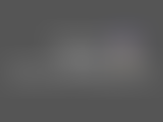 Pengumuman Perdagangan Forex: Sensei Cat Membuka Tahun Pasar Baru