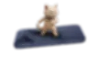 iphone17 Pro max.webp