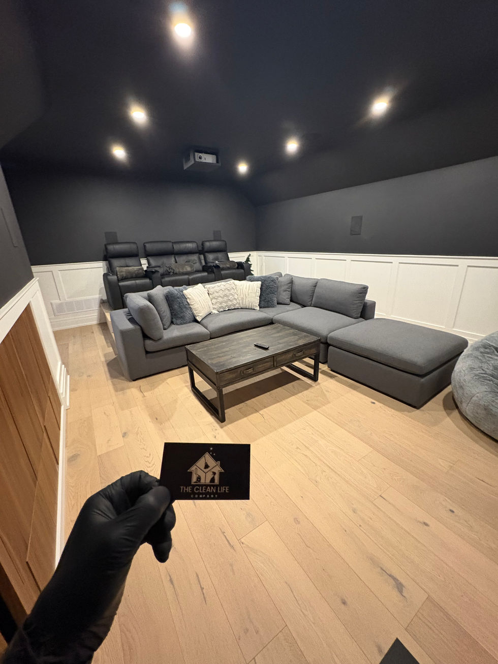 The Clean Life Company