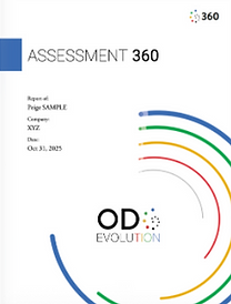 360_Report_En.png