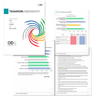 TeamAssessment_Report_En.png