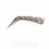 Thumbnail: Duo Brow Pencil