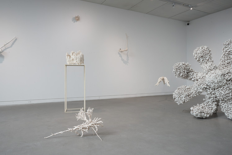 何宇森,2025年高雄獎,《南方雪》系列展出現場,共展出15件雕塑,於高雄美術館
He yu-sen_Southern Snow_ series exhibited at the 2025 Kaohsiung Award, featuring 15 sculptures, held at the Kaohsiung Museum of Fine Arts_