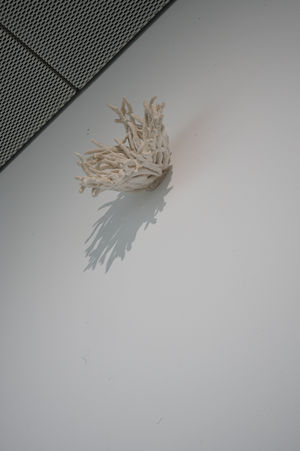 何宇森，2025年高雄獎，《南方雪》系列展出現場，共展出15件雕塑，於高雄美術館  
He yu-sen_Southern Snow_ series exhibited at the 2025 Kaohsiung Award, featuring 15 sculptures, held at the Kaohsiung Museum of Fine Arts_