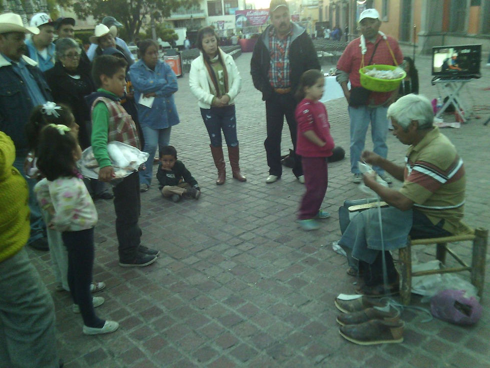 Exposicion en Jardin Morelos