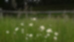 20210603_144725.jpg