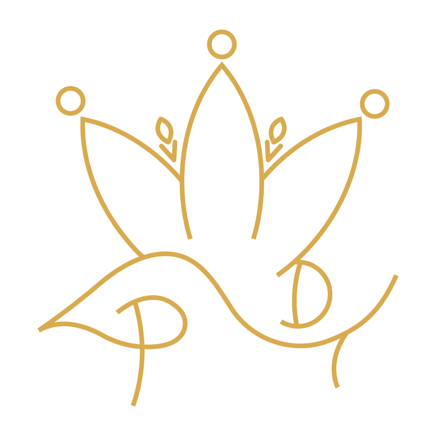 PDT logo.png