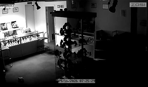 Still 2.jpg