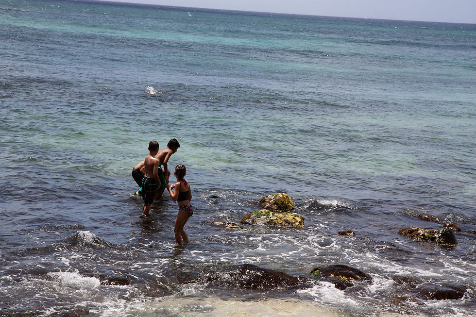 Turtle Bay
