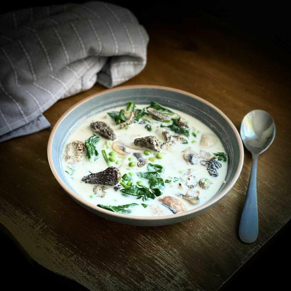 Creamy Morel Mushroom Soup