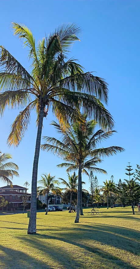 Runaway Bay, Gold Coast