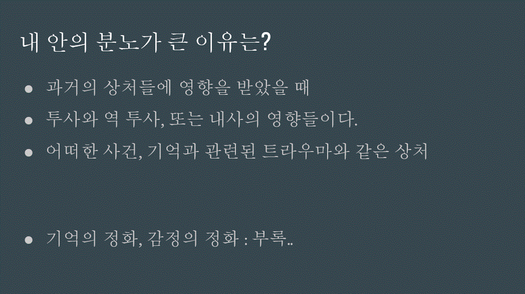 내 안에 분노가 큰 이유는
