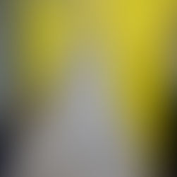 シュールームに新たなオブジェ