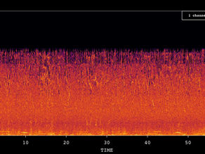 Supporting Acoustic Research to Improve Monitoring and Conservation