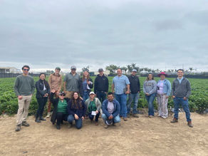 ¡Salud! Plasticulture Team Celebrates National Hispanic Heritage Month