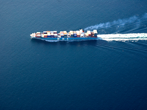 Results of the 2022 Protecting Blue Whales and Blue Skies Program