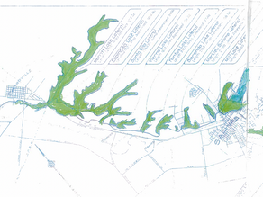 Restoring Watershed Processes in the Salinas Valley