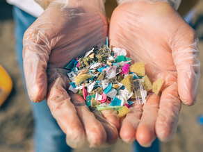 Microplastics: What, Where and Is it Harmful?